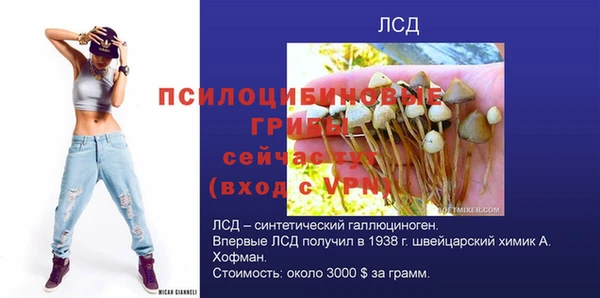 герыч Балахна