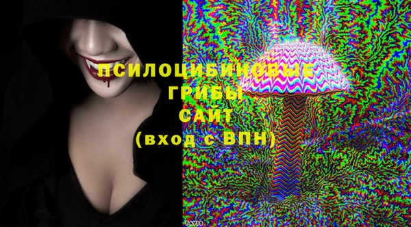 спайс Рославль