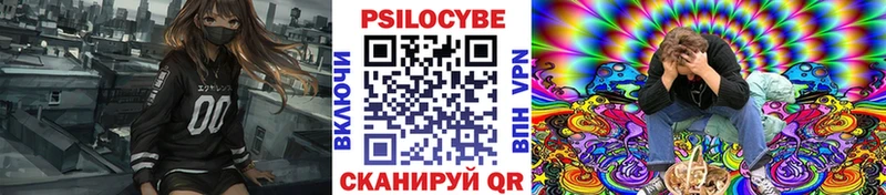 Псилоцибиновые грибы Cubensis  Губкинский 